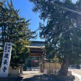 平日の鎌倉で紅葉を満喫。50歳女3人、大人の遠足