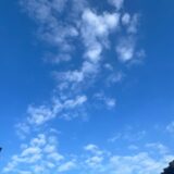 今日の空_2024/08/13