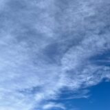 今日の空_2024/11/08