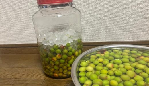 下のソーシャルリンクからフォロー