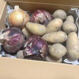 妹が育てた野菜が想像以上においしかった件