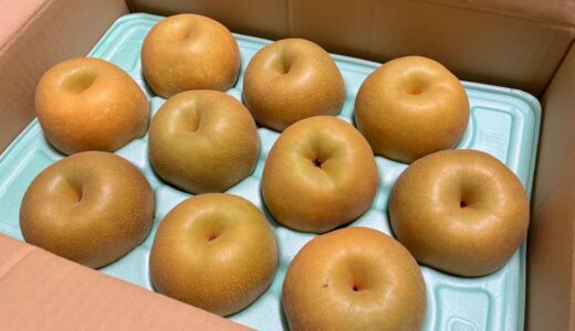 お盆に間に合った！千葉県長生郡一宮町の幸水梨