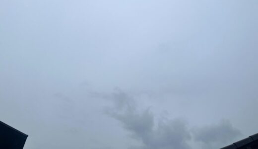 今日の空_2025/11/25