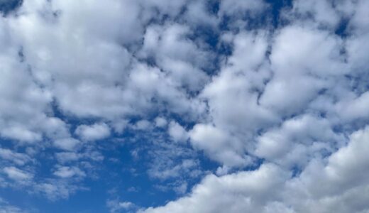 今日の空_2025/11/27