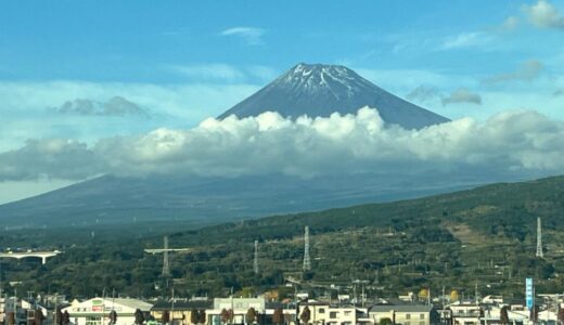 これが最後かも？母を連れて妹家族に会いに行って来ました