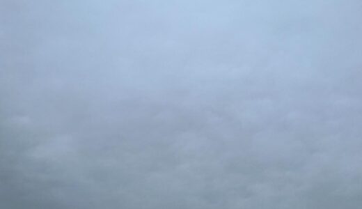 今日の空_2026/02/11