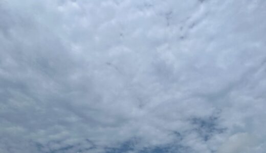 今日の空_2026/08/17